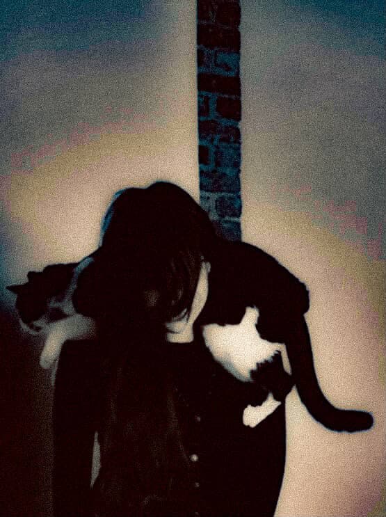 Sugar: Live @ Moondog